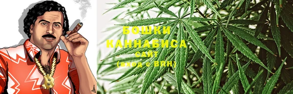 сатива Кохма