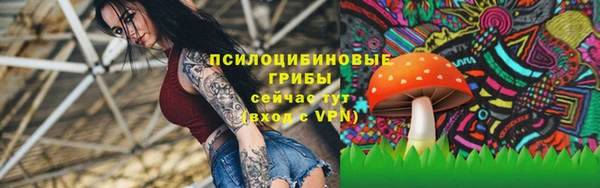ALPHA PVP Лихославль