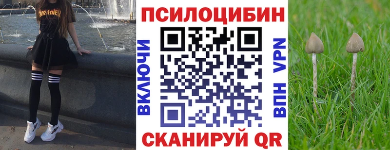 Псилоцибиновые грибы GOLDEN TEACHER  наркошоп  Нытва 