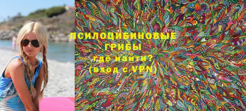 Псилоцибиновые грибы Cubensis  Нытва 